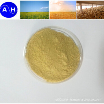 High Quality Amino Acids Vegetable Source Amino Acids Free From Chloridion Pure Plant Source Amino Acids